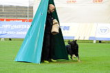 Don von der Neundorfer Flur