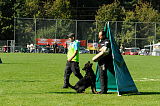 Champ vom Zauberwald