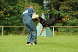 Snoopy vom Amtsbach