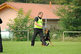 Bullweih vom Schandpfahl