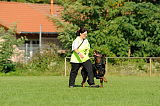 Fips vom Glockenturm