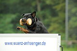 Yul aus dem Blumental