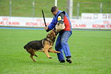 Blitz von der Eichendorfschule