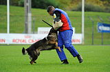 Dornholz Drago