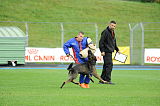 Dragon von der Teufelskehle