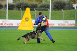 Basco vom wilden Klee