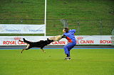 Airwolf Asko