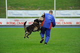 Eran van Houthrack