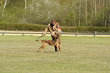 Graubaer`s Bruiser
