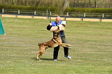 Graubaer`s Bruiser