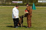 G 1 von der Goldenen Bernsteinsonne