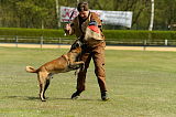 G 1 von der Goldenen Bernsteinsonne