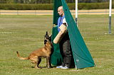 G 1 von der Goldenen Bernsteinsonne