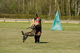 Boyd`s Bullriding Glenmore