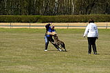 Boyd`s Bullriding Glenmore