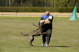 Boyd`s Bullriding Glenmore