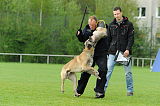 Sepp vom Further Moor