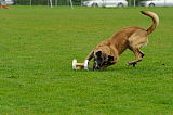 Sepp vom Further Moor