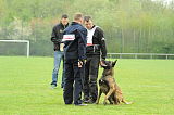 Myron vom Drachenherz