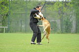 Nanuk vom Further Moor
