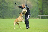 Nanuk vom Further Moor