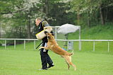 Nanuk vom Further Moor