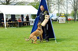 Bazooka unter schwarzer Flagge