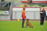Champion Rila Planina