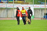 Champion Rila Planina
