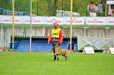 Champion Rila Planina