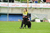 High-Spirited Aurinco