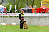 Auzzy Ostraryka
