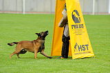 Ager Veranis K-9 Dog Center