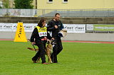 Jamboree von Dorlatos