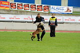 Daneskjold Ursus