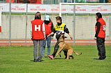 Kiirastulen Ansa