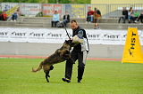 Rumba Djoakimo dog