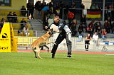 Brando du Loups du Soleil