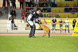 Peaches vom Strengen Winter