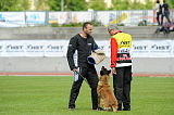 Irac vom Adlerauge