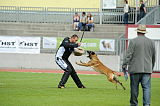 Irac vom Adlerauge