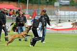 Gamma vom Brunsbeker Land