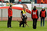 Lito vom Adlerauge