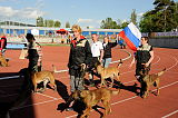 Siegerehrung, Victory Ceremony
