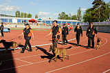 Siegerehrung, Victory Ceremony