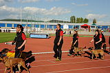 Siegerehrung, Victory Ceremony