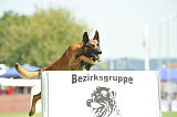 Iram vom Brunsbeker Land