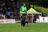 Boyd's Bullriding Glenmore