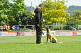 Jessy vom Adlerauge