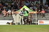Myron vom Drachenherz